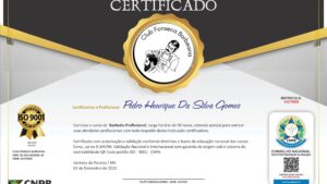 PEDRO HENRIQUE DA SILVA GOMES