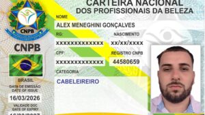 ALEX MENEGHINI GONÇALVES