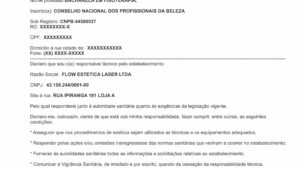 FLOW ESTETICA LASER LTDA