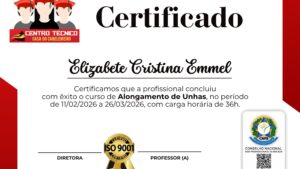 ELIZABETE CRISTINA EMMEL