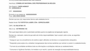 FLY ESTETICA LASER LTDA - ESPACOLASER