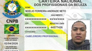 NOELIO FERREIRA ANDRADE NETO