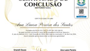 ANA LAURA PEREIRA DOS SANTOS
