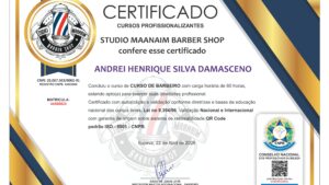 ANDREI HENRIQUE SILVA DAMASCENO