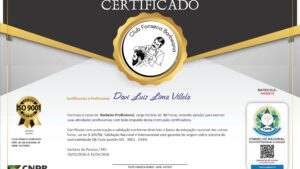 DAVI LUIZ LIMA VILLELA