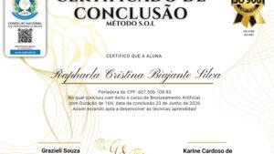 RAPHAELA CRISTINA BIAJANTE SILVA