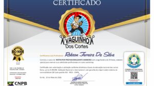 ROBSON FERREIRA DA SILVA