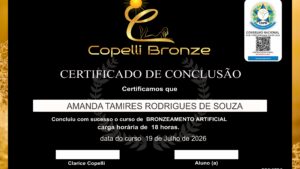 AMANDA TAMIRES RODRIGUES DE SOUZA