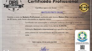 MATEUS PINTO SILVA