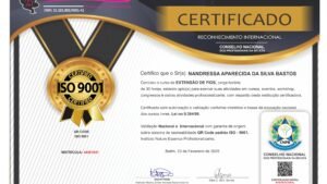 NANDRESSA APARECIDA DA SILVA BASTOS