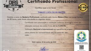 THIAGO LUCA SILVA MATOS