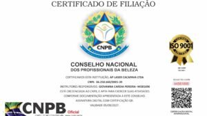 AP LASER CACAPAVA LTDA