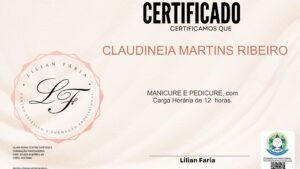 CLAUDINEIA MARTINS RIBEIRO
