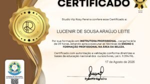LUCENIR DE SOUSA ARAÚJO LEITE
