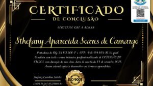 STHEFANY APARECIDA SOARES DE CAMARGO