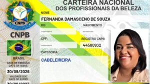 FERNANDA DAMASCENO DE SOUZA