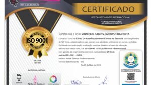 VINNICIUS RAMOS CARDOSO DA COSTA