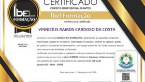 VINNICIUS RAMOS CARDOSO DA COSTA